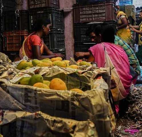 mango fruit sellers in a market